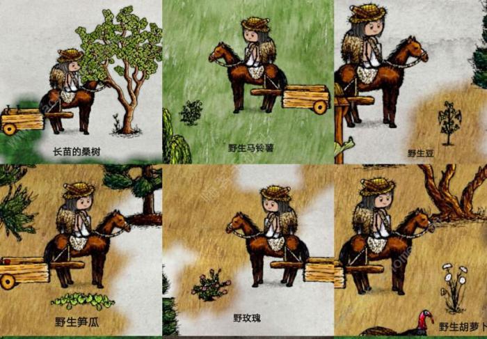 华夏人生种植攻略2