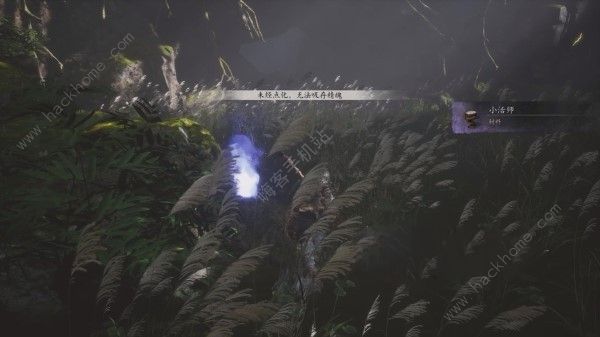 黑神话悟空精魄怎么吸收_黑神话悟空魂系列