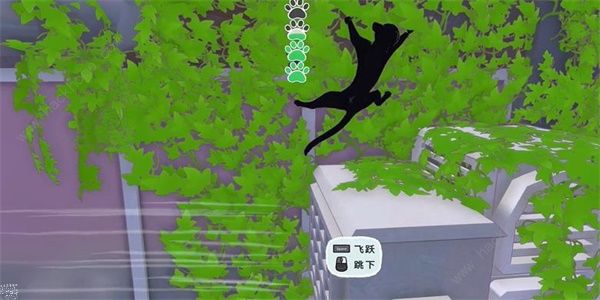 小猫咪大城市向日葵帽在哪4