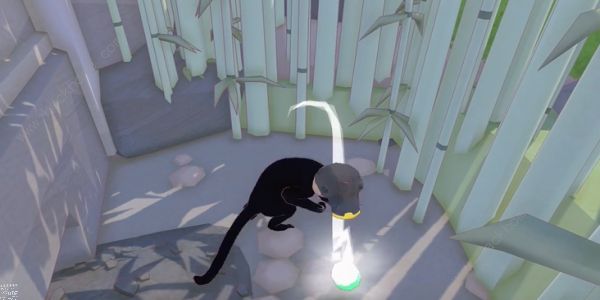 小猫咪大城市仙人掌帽在哪5