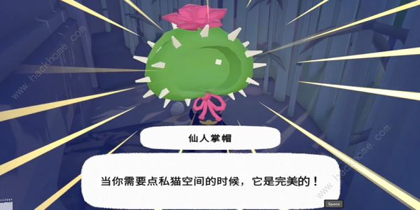 小猫咪大城市仙人掌帽在哪6