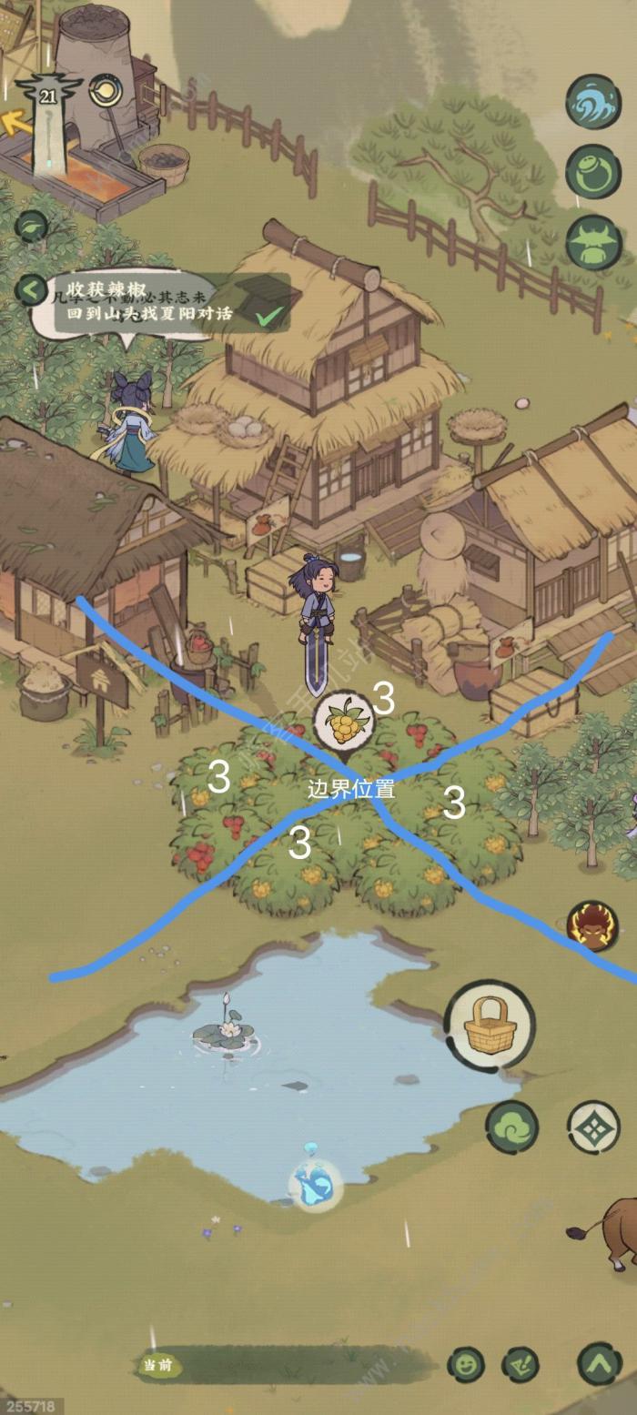 仙山小农果丛布局推荐5