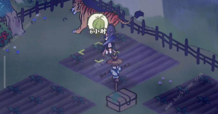 仙山小农作物生长时间是多久2