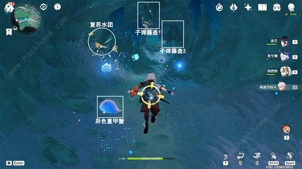 原神4.6旧日之海7个指引仙灵在哪8