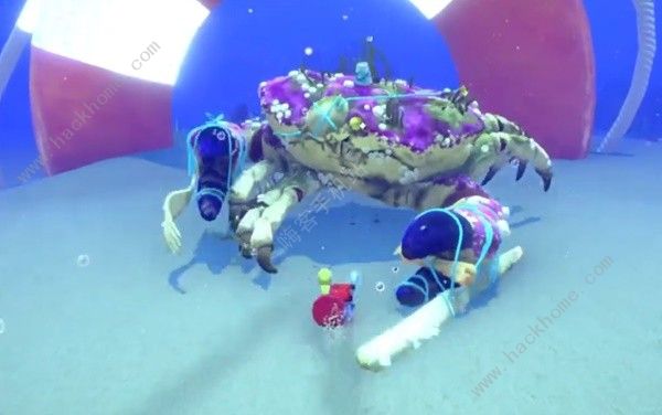 蟹蟹寻宝奇遇贪得无厌寄居蟹怎么打_蟹蟹寻宝奇遇贪得无厌寄居蟹打技巧