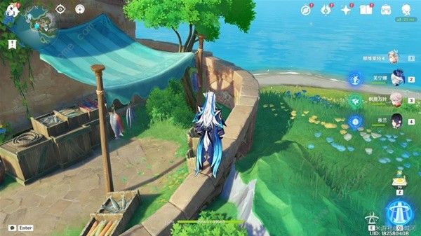 原神4.6随处可见的树枝任务怎么做4