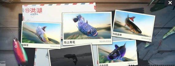 欢乐钓鱼大师稀有鱼怎么钓_欢乐钓鱼大师最后一种鱼