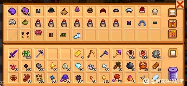 星露谷物语活的帽子怎么刷5