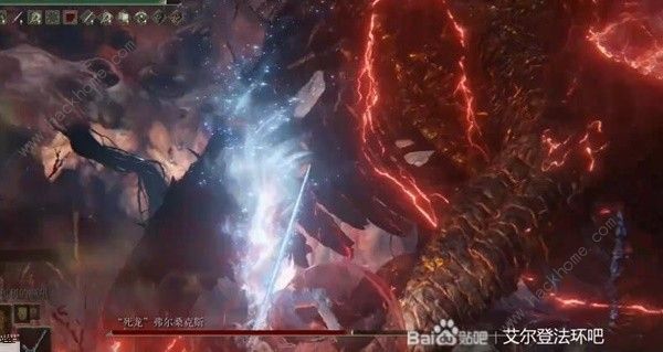 艾尔登法环古龙在哪8