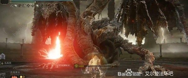 艾尔登法环古龙在哪22