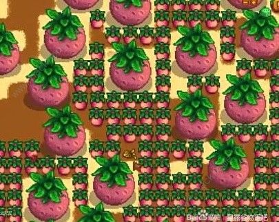 星露谷物语温室怎么解锁3