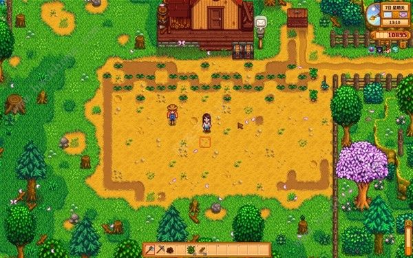 星露谷物语1.6版草原洒水器放哪里好2