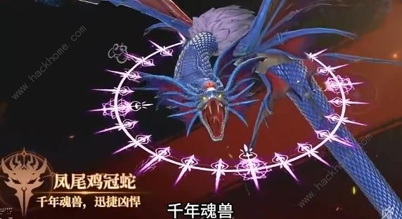 斗罗大陆史莱克学院怎么刷帮贡2