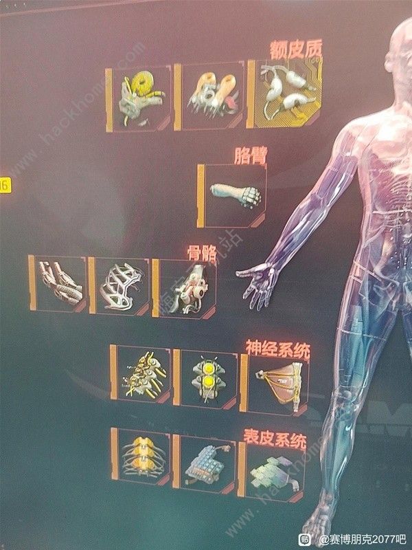 赛博朋克2077钝器流怎么配装6