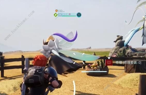 幻兽帕鲁蜂蜜怎么得1