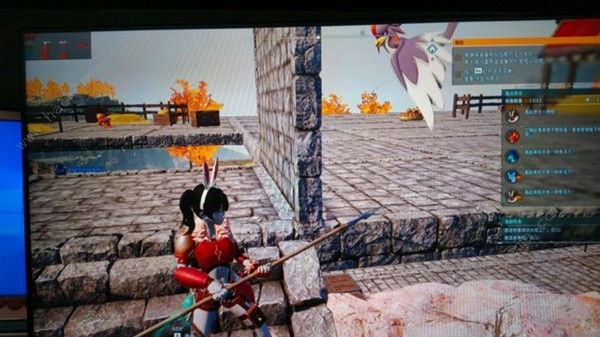 幻兽帕鲁卡墙不工作怎么弄5