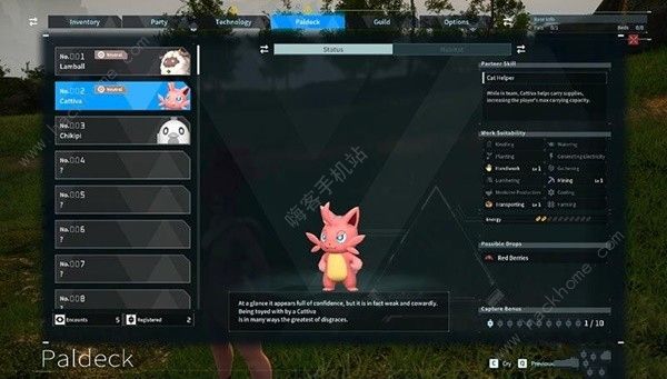 幻兽帕鲁帕鲁是什么5