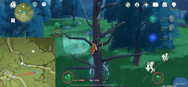 原神蒙德九处风屏障位置大全6