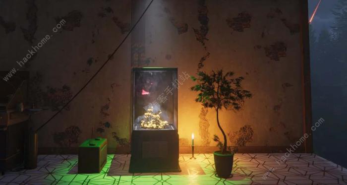 七日世界远归之蝶怎么养1