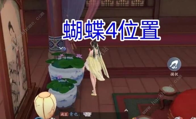 浮生忆玲珑烟雨楼的蝴蝶在哪4