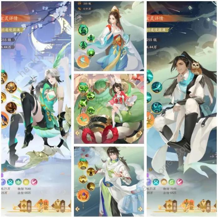 我自为道国家队阵容推荐1