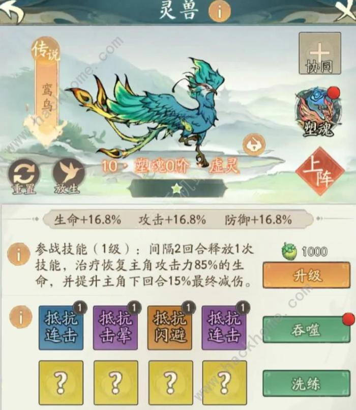 寻道大千暴击青龙流怎么搭配2