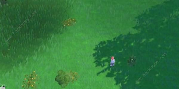 宝可梦朱紫蓝之圆盘美洛耶塔怎么得6