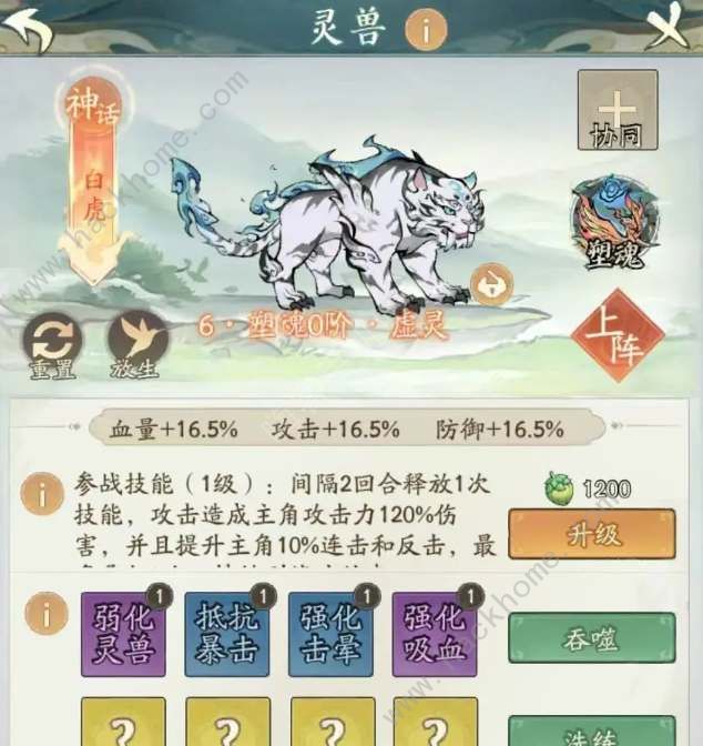 寻道大千白虎反击流怎么搭配1