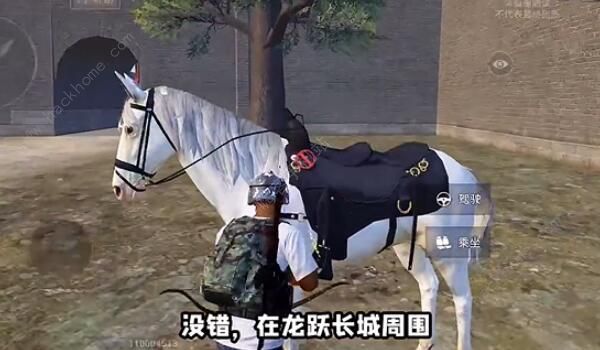 和平精英骑马在哪骑1