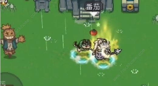 元气骑士前传宠物怎么喂食4