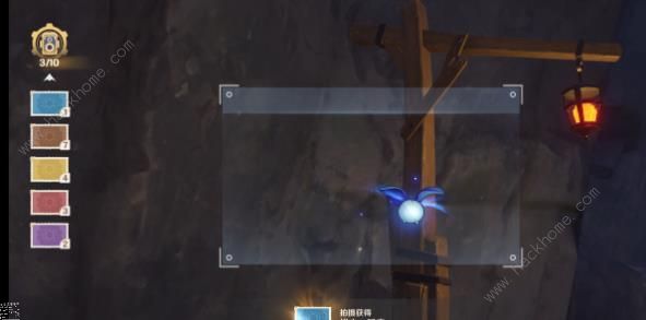 原神基本呈蓝色的野生生物在哪7