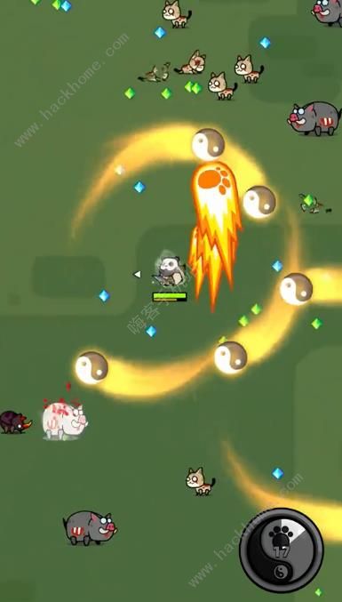 弹壳特攻队杨大师技能是什么3