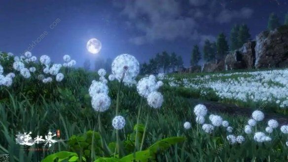 逆水寒手游花狐情缘任务怎么做2