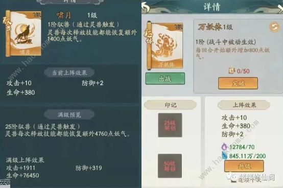 寻道大千道法连击流怎么搭配4