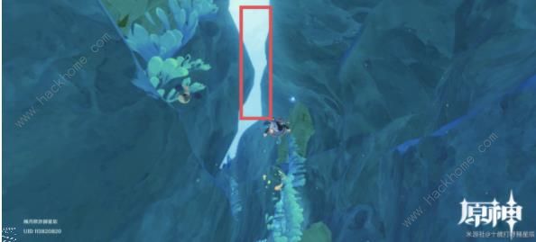 原神4.2水形幻人锚点在哪4