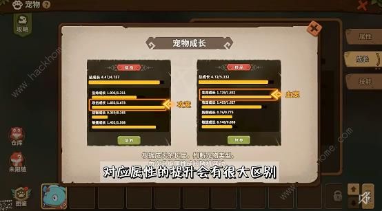 石器时代觉醒精灵王试炼11