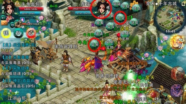 需要怎样的条件才能购买忘仙万年宠物1