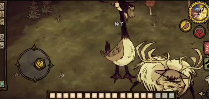 饥荒怎么打麋鹿鹅1