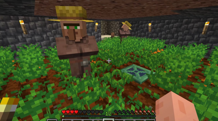 我的世界农民如何帮你种地2