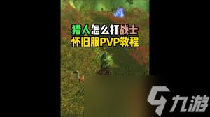 魔兽世界怀旧服猎人PvP怎么打1