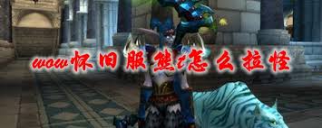 魔兽世界怀旧服熊T怎么拉怪_tbc熊t拉怪