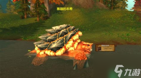 魔兽世界怀旧服龟壳在哪里刷_魔兽怀旧服龟壳哪里刷