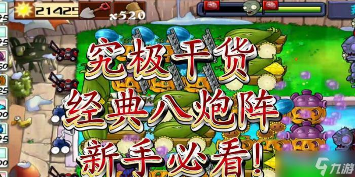 《植物大战僵尸》无限生存8炮流阵型攻略2