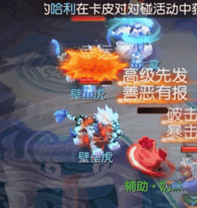 《梦幻西游》个性宠顶半边天4