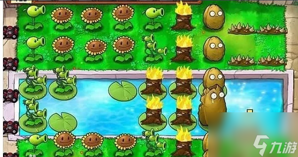 植物大战僵尸火炬树桩介绍3