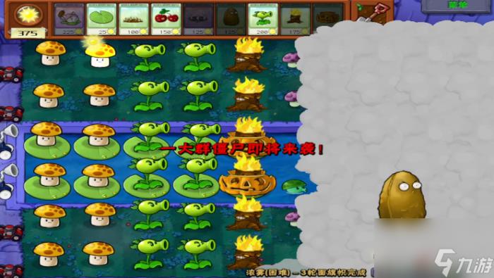 植物大战僵尸攻略图解5