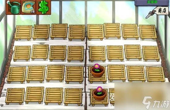 植物大战僵尸怎么速通世界关卡5