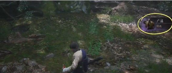 黑神话悟空广谋精魄怎么获得8