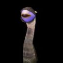 魔兽世界怀旧服肮脏的希尔盖怎么打6