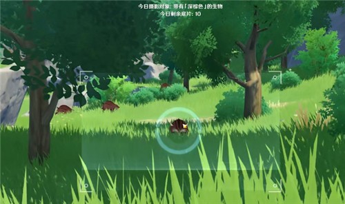 原神福至五彩带有棕色的采集物位置汇总2